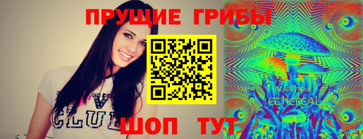 Псилоцибиновые грибы мицелий  Псилоцибиновые грибы ЛСД  Вход с VPN  Сухой Лог 