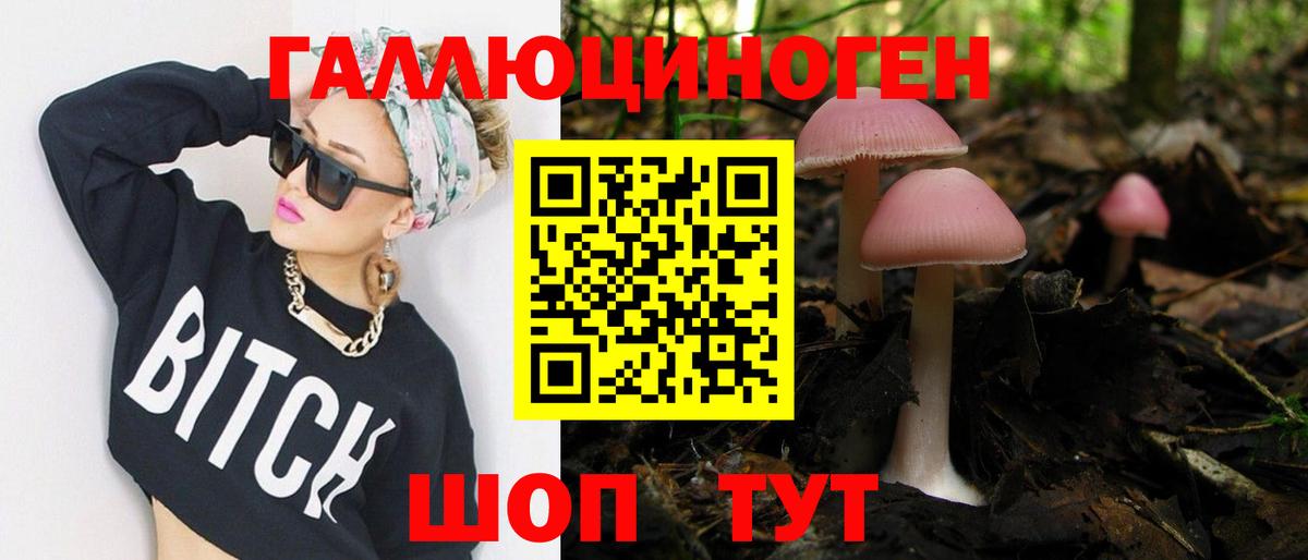 Псилоцибиновые грибы Psilocybine cubensis Сухой Лог